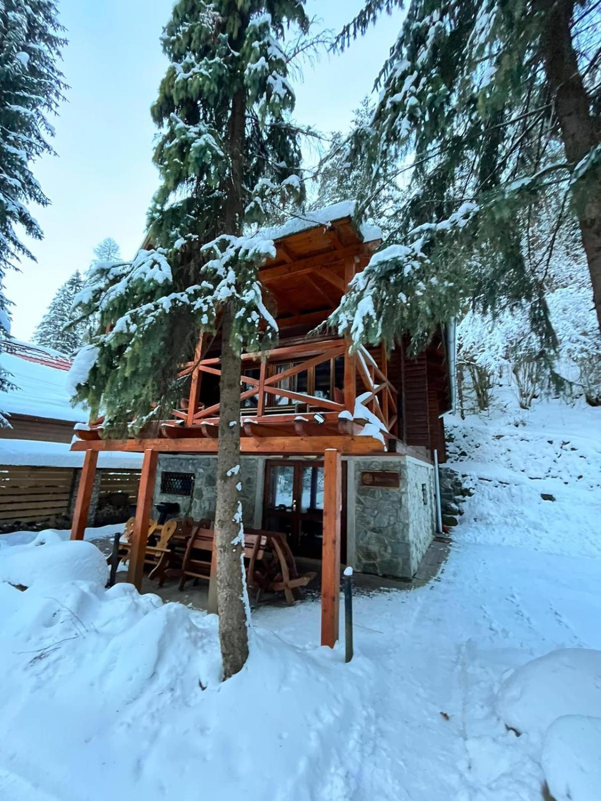 Tatrystay Chalet Kristina Деменівська Долина Екстер'єр фото